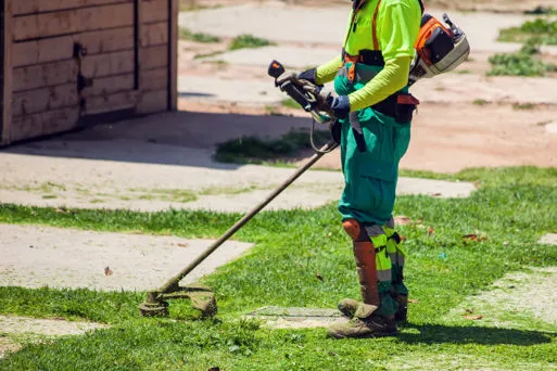 Decespugliatore di Agrigarden a Verona