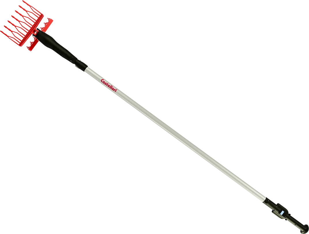 OLIVANCE1812V
