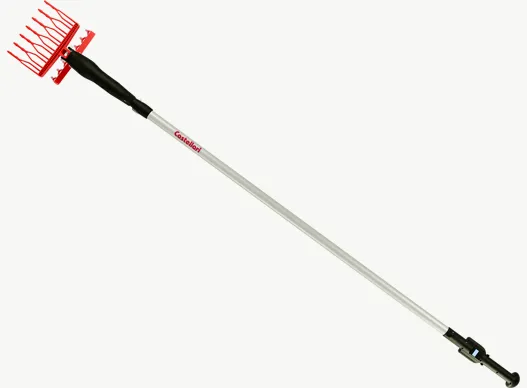 OLIVANCE1812V