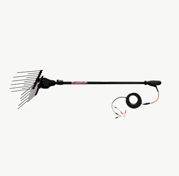 TORNADOCARBON